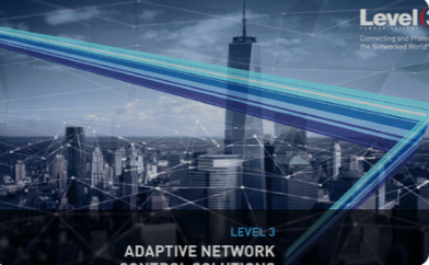 Adaptive Network Control: A Guide to Dynamic Network Optimization